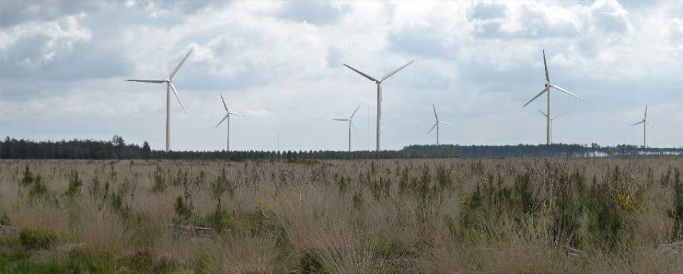 Parc éolien de Rion des Landes